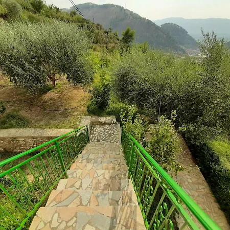 Pashollari 4* Берат