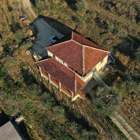 Pashollari בית הארחה