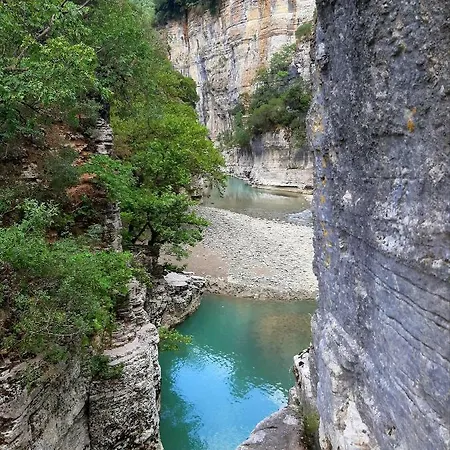 Pashollari *