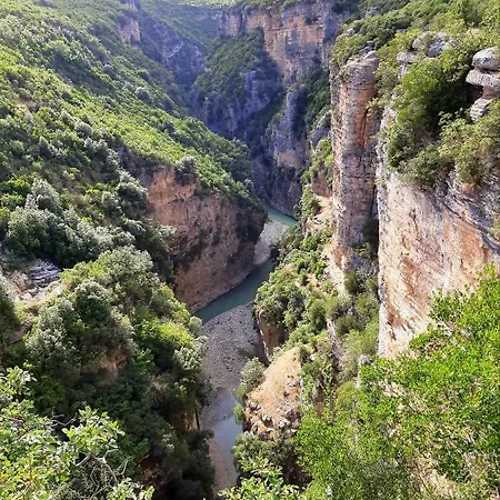 Pashollari