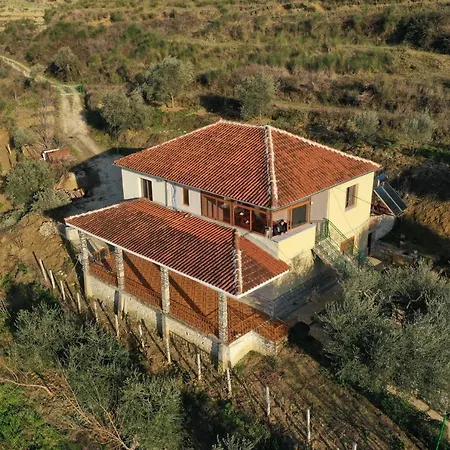 Pashollari 4* Berati