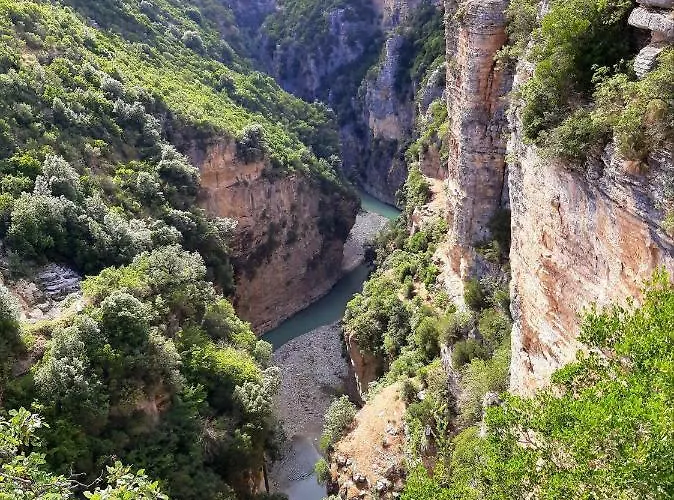 Pashollari